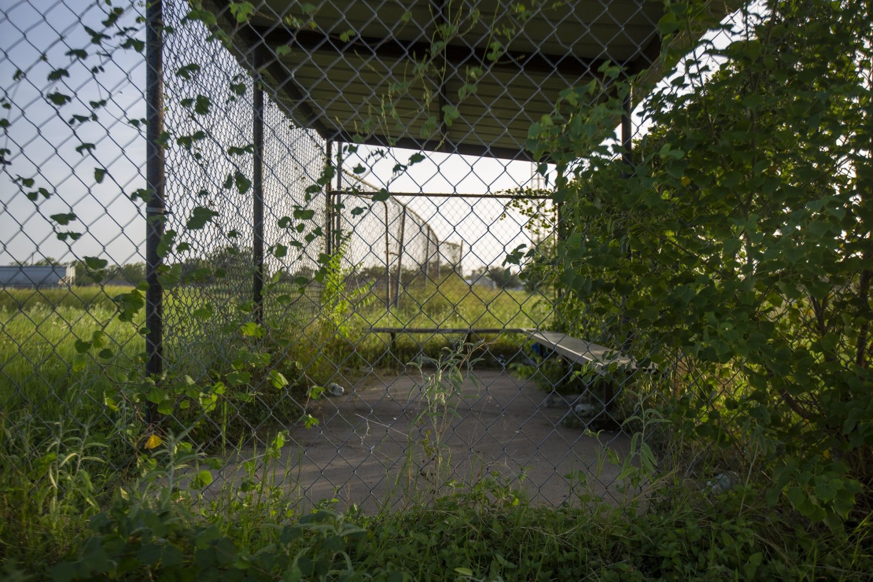 Bloomington little league field